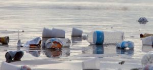 Microgaming Eco Warriors Protect the Ecology