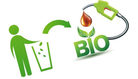 Converting Biomass Waste to Fuel